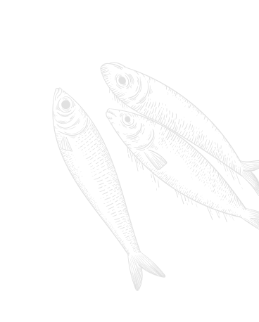  Right Vector
