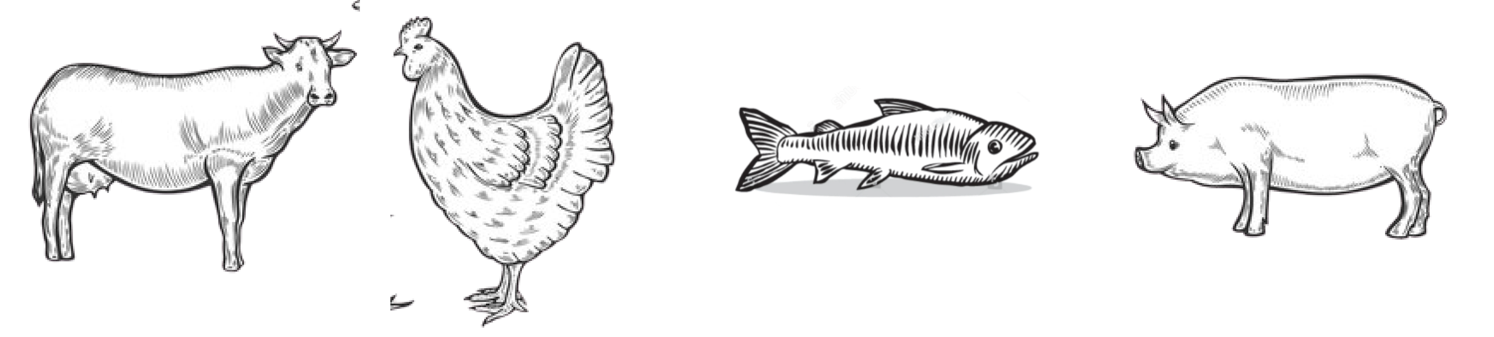 Vector Image